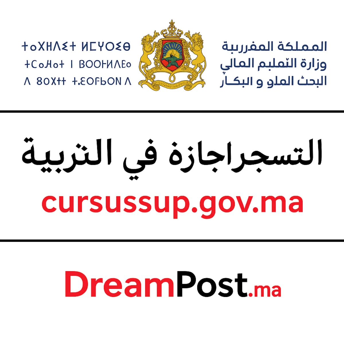 cursussup.gov.ma التسجيل في الإجازة في التربية 2027/2026