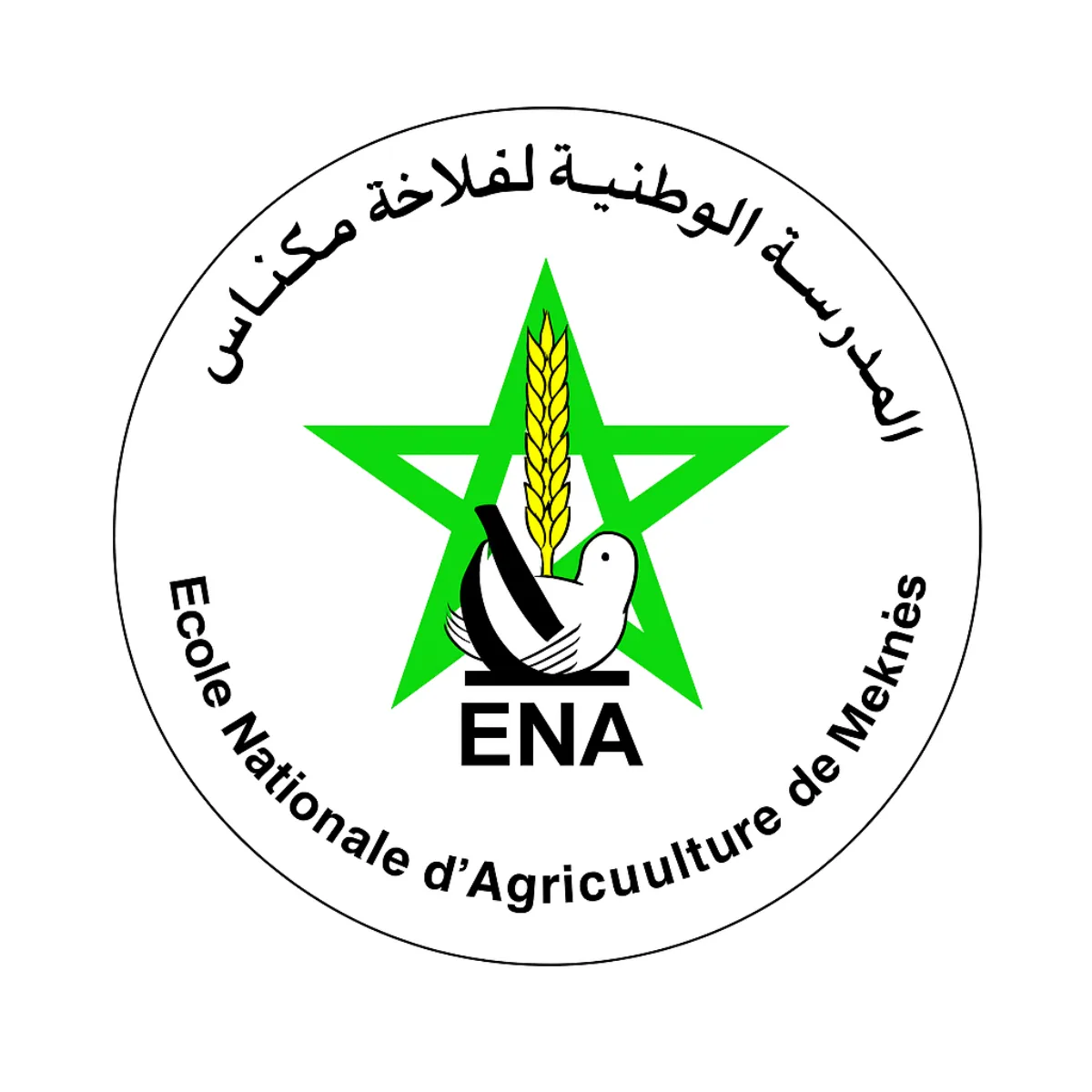 Résultats Définitifs Concours ENAM ENA Meknès 2026/2027