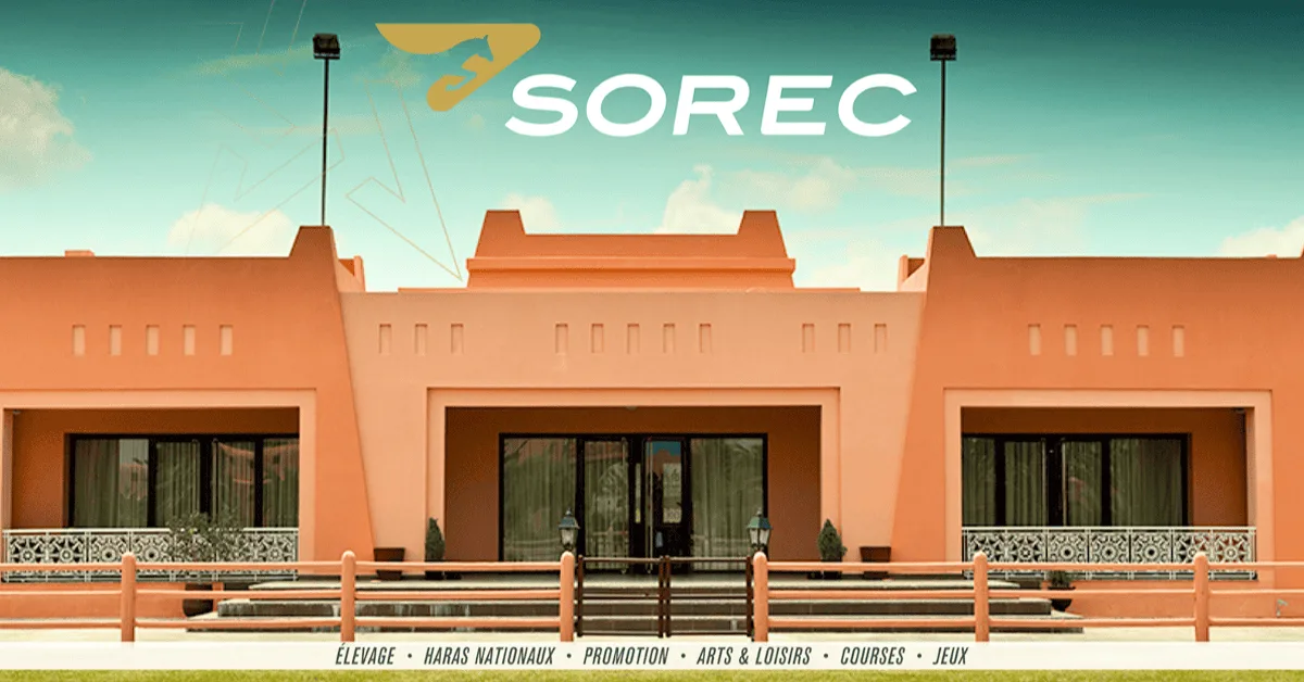 SOREC recrute 10 postes CDI : Rabat, Salé, Nador, Berkane, Oujda
